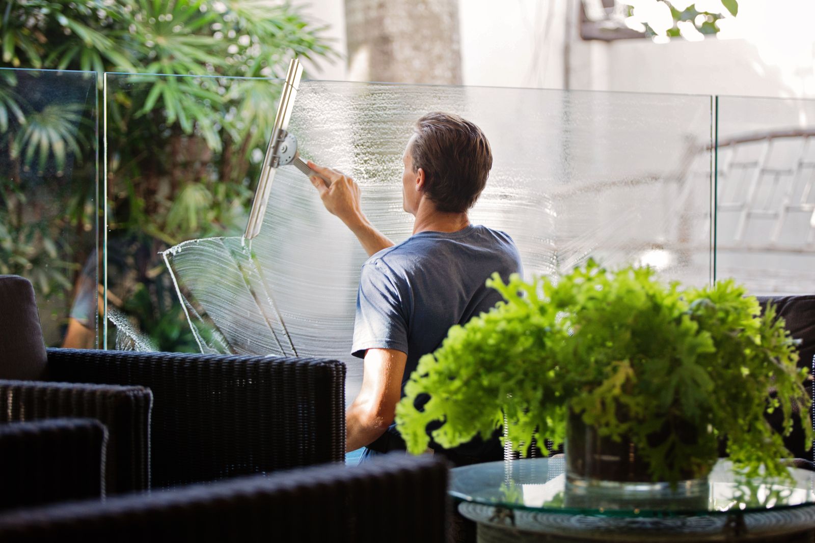 A window cleaner squeegeeing a sunlit glass wall streak-free, with green plants reflected in the clean glass